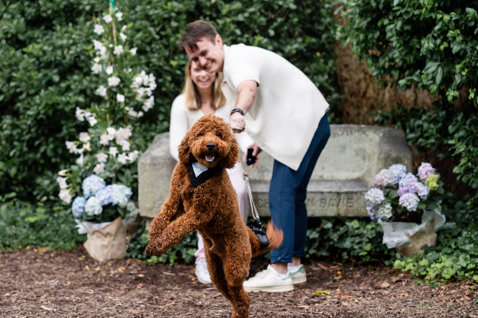 sally lucas 0530 043